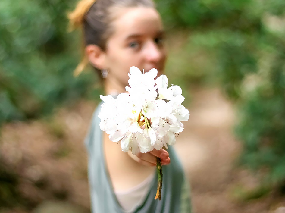 grounding using aroma mindfulness - bluestone
