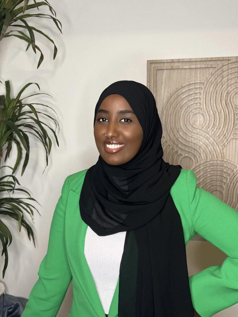 roza aman - bluestone licensed mental health counselor