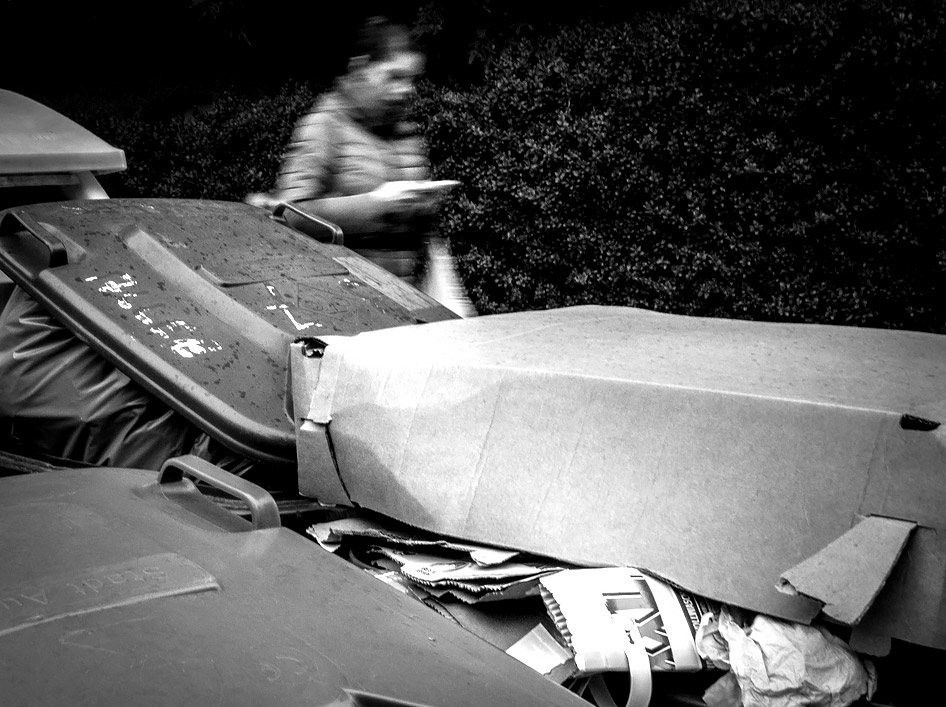 paradox gratitude - bluestone psychological blog